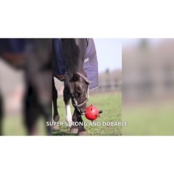 Excellente balle de jeu amusante pour chevaux orange