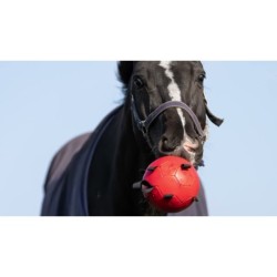 Excellente balle de jeu amusante pour chevaux orange