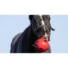 Excellente balle de jeu amusante pour chevaux orange