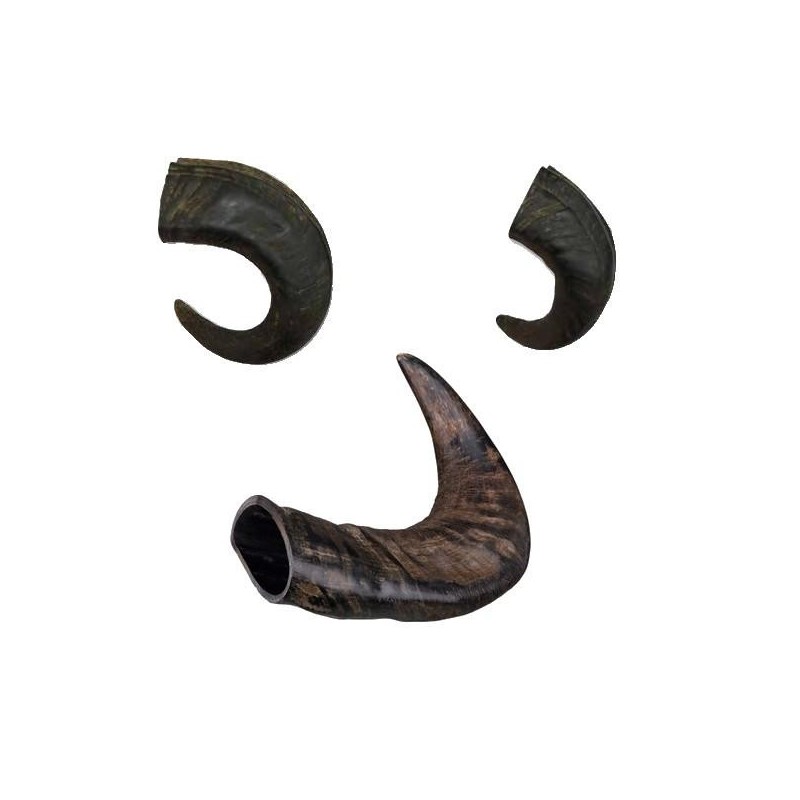 Corne de buffle pour chien taille S