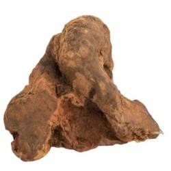 Racines à mâcher taille S