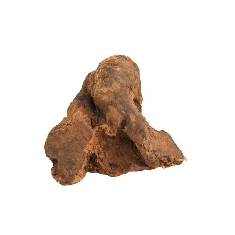 Racines à mâcher taille M