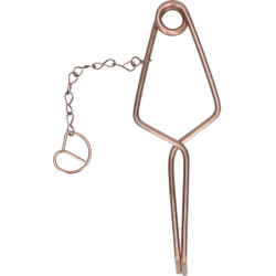 Campagnol et mulot à...