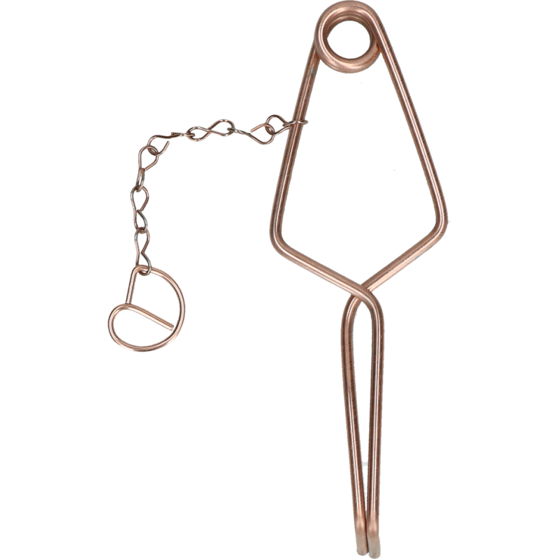 Campagnol et mulot à souricière