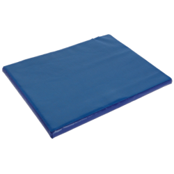 Tapis de désinfection...