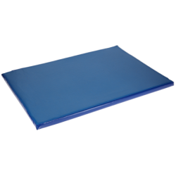 Tapis de désinfection...