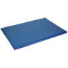 Tapis de désinfection 85x60x3,5 cm