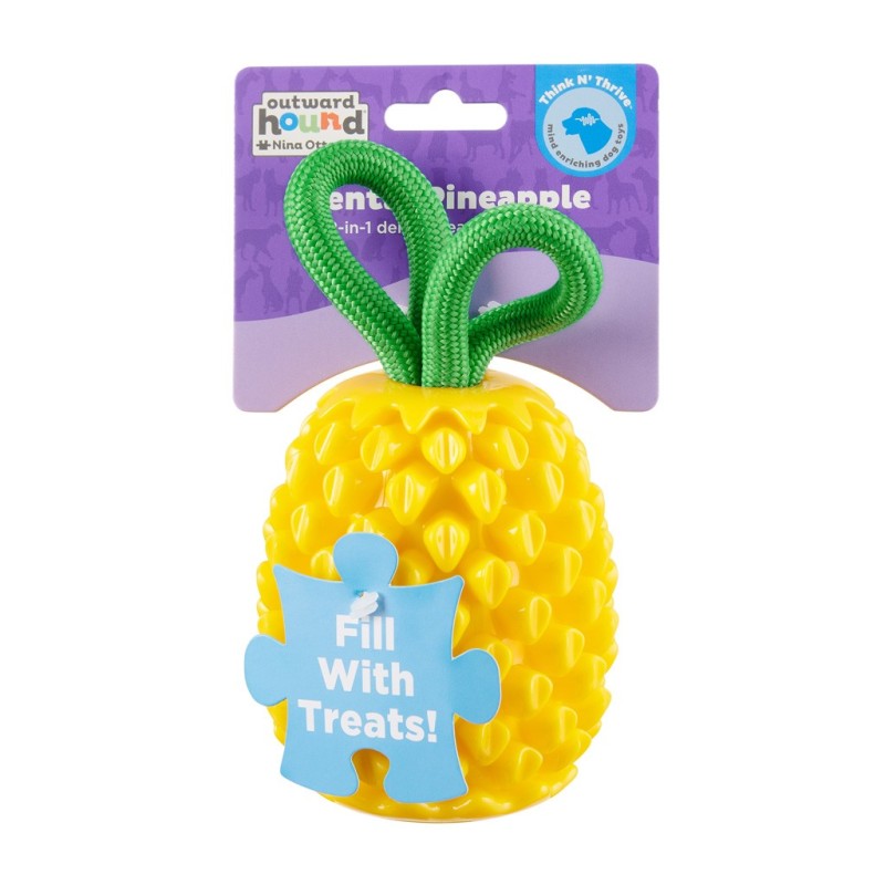 Outward Hound Dental Ananas
