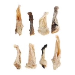 Oreilles de Mouton -...