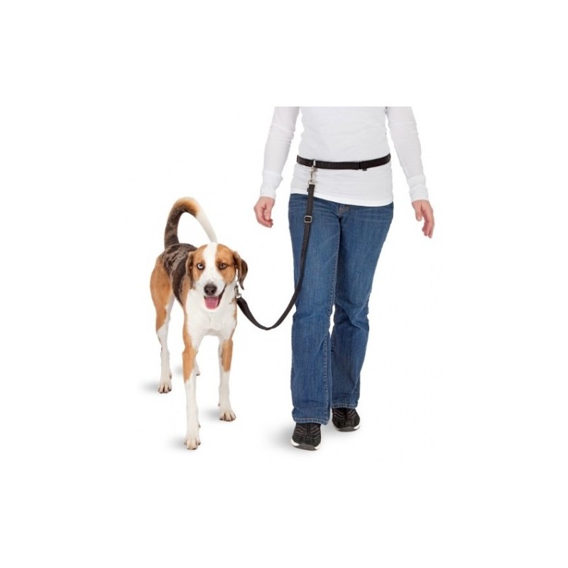 Kit de jogging mains libres pour chien Pawise