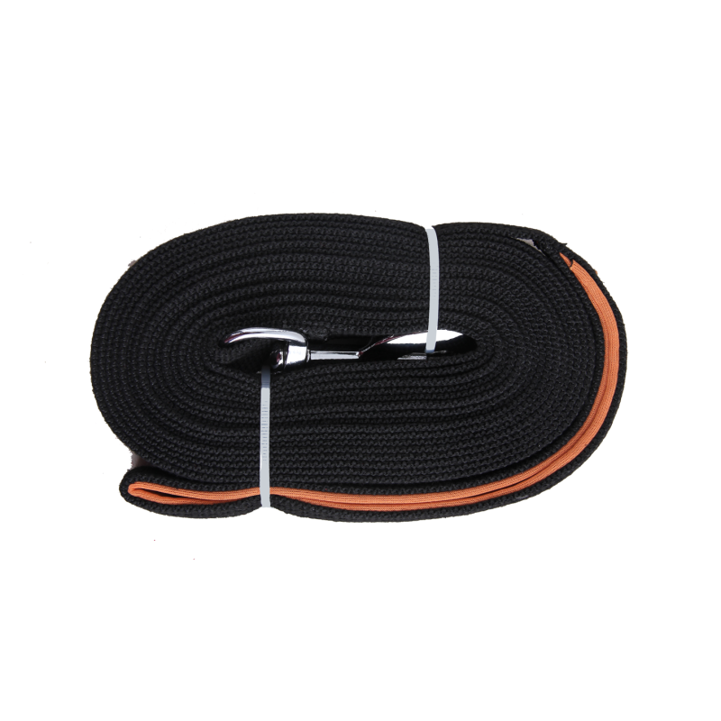 Laisse d'entraînement longue Pawise 10 m