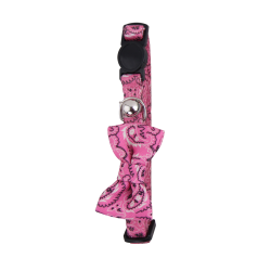 Collier pour chat Pawise...