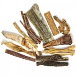 Pack Mastication Sans...